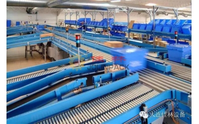 Logistics Sorting Conveyor Line